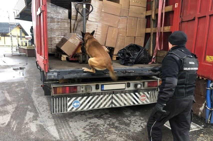 Budzisko. Pies wykrył przemyt papierosów o wartości 3 mln zł (zdjęcia)