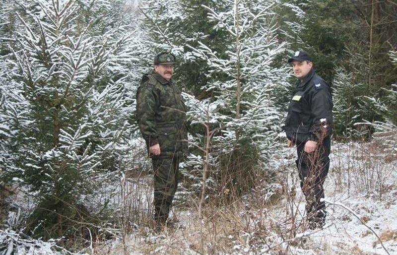 Hajnówka. Policja i straż leśna patrolowali lasy w powiecie. Zwracali uwagę na nielegalną wycinkę choinek [ZDJĘCIA]