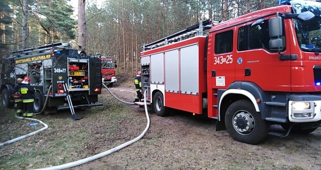 Niedaleko Lędowa koło Ustki doszło do pożaru ściółki leśnej. W akcji gaszenia pożaru wzięły udział jednostki straży pożarnej z Ustki i Centrum Szkolenia Marynarki Wojennej w Ustce. Strażacy apelują o rozsądek w lesie. Sytuacja jest bardzo trudna, wciąż jest sucho i o pożar niezwykłe łatwo.