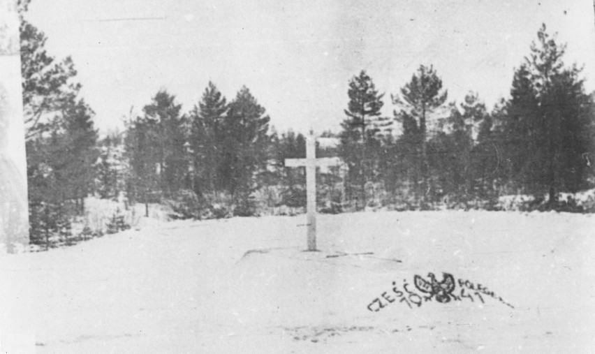 Krzyż w Katyniu - 1944 r.