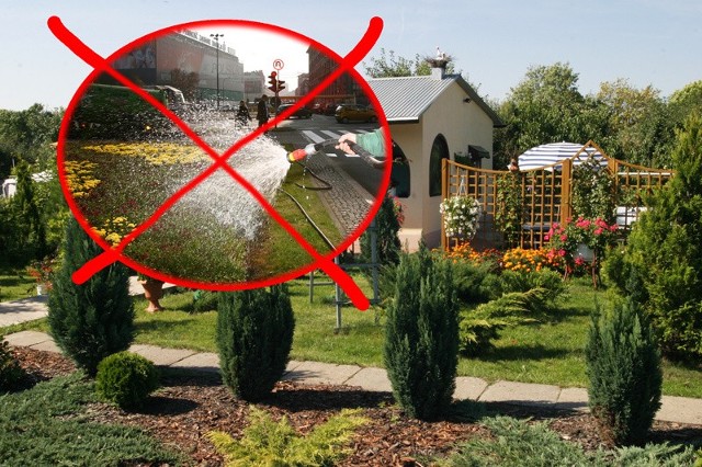 ZWiK zapewnia, że wody mamy pod dostatkiem, ale mieszkańcom niektórych rejonów Łodzi radzi ograniczyć podlewanie ogródków.