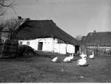 Chaty pod strzechą, czyli wieś przed wojną [archiwalne zdjęcia]