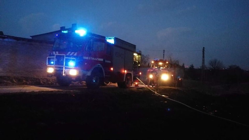 Zaczęło się! 13 pożarów traw w czasie weekendu w powiecie ostrowieckim! W poniedziałek kolejny alarm [ZDJĘCIA]