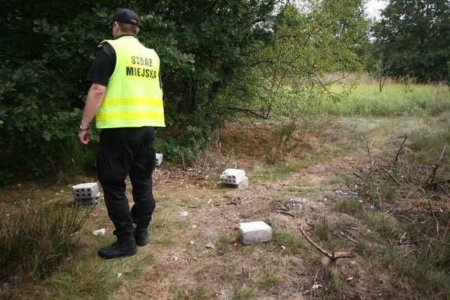 Strażnicy wciąż kontrolują działki w różnych miejscach Radomia pod kątem utrzymania czystości.