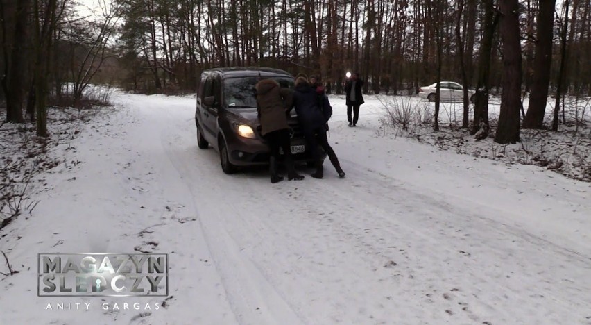 "Magazyn śledczy Anity Gargas". Przerażający biznes na bezdomnych zwierzętach [WIDEO]