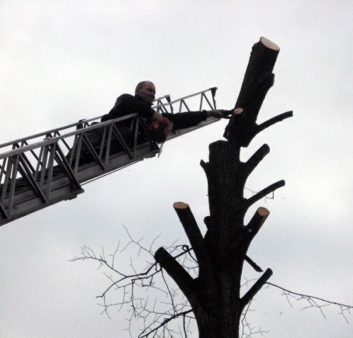 Przycinanie drzew przez strazaków OSP Nowe Miasteczko - konar spadając wbil sie na slup, na którym byl znak drogowy (trzeba umiec celowac :))