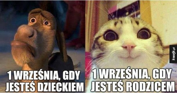 Nadszedł pierwszy dzień szkoły, więc internet zalały memy o...