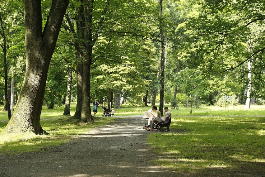 Bliskość terenów zielonych