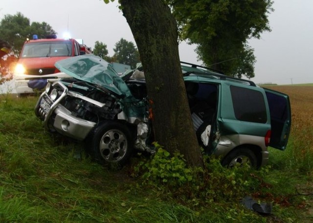 Mitsubishi, którym jechał 65-latek zjechało na przeciwległy pas jezdni i uderzyło w drzewo. Ranny mężczyzna trafił do szpitala.