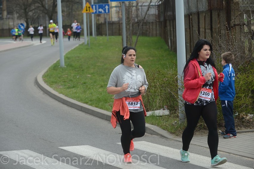 Bieg Run Toruń 2015