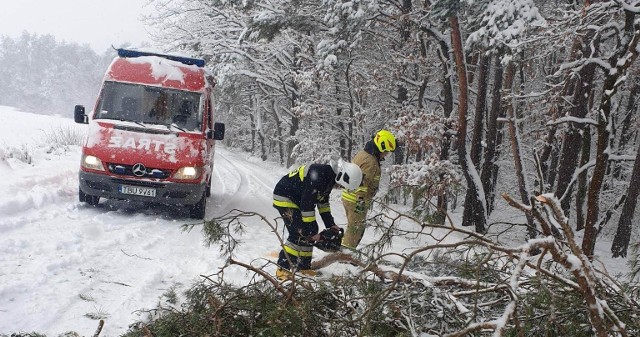 Poniedziałek, 12 grudnia. Strażacy z Ochotniczej Straży Pożarnej w Widuchowej usuwają powalone drzewo w Palonkach w gminie Busko. Więcej na kolejnych zdjęciach.