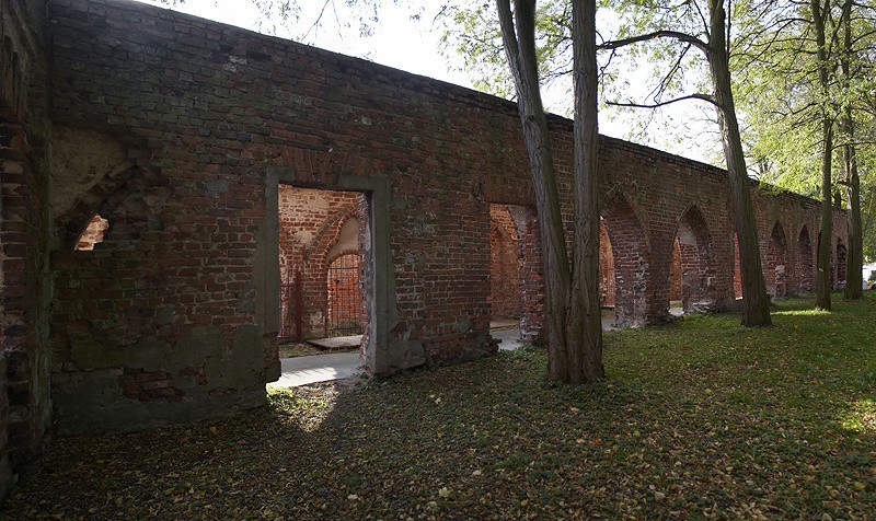 81. Jasienica. Ruiny klasztoru augustianów