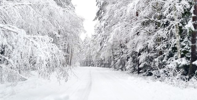 W piątek rano mieszkańcy Koszalina i okolic obudzili się w prawdziwie zimowej aurze. Gęsto sypiący śnieg pokrył region grubą warstwą śniegu. Jak zima wygląda w obiektywie naszych Internautów? Sprawdźcie!Zobaczcie kolejne zdjęcia >>>