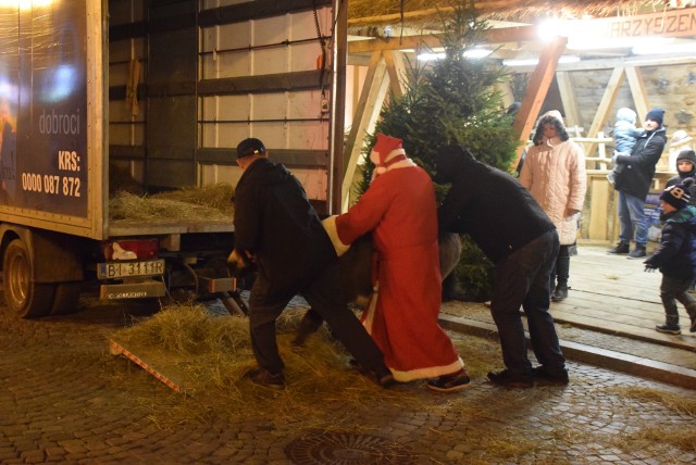 Dwie kameruńskie owce i osioł. No i oczywiście Jezusek w żłóbku, Maryja i Józef. W centrum Białegostoku, jak co roku, pojawiła się żywa szopka.