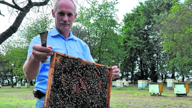 - Ta pasieka jest żywym pomnikiem ks. Jana Dzierżona - mówi Andrzej Kowalik, kierownik pasieki.