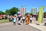 Atrakcyjny Dzień Dziecka w Dąbrowie Górniczej: parada bajkowych postaci i zaczarowane kreatywne miasteczko 