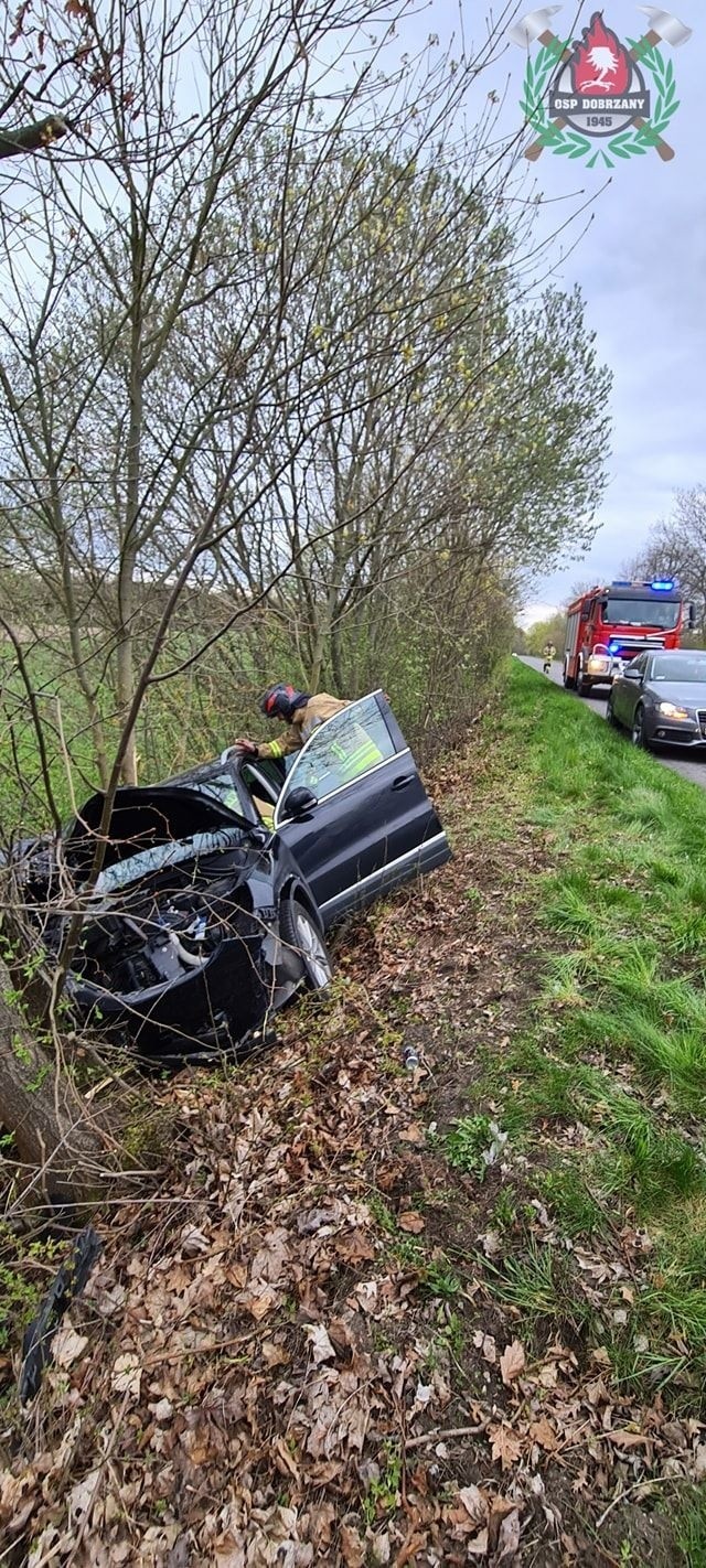 Powiat stargardzki. Wypadek drogowy między gminami Marianowo i Dobrzany. Auto wjechało do rowu i uderzyło w drzewo, kierująca została ranna 