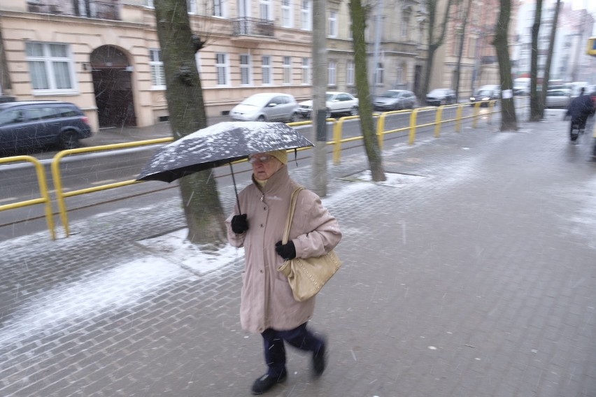 Śnieżyca w Toruniu