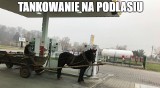 Autonomiczny pojazd z Podlasia sprawdza się od wielu lat. Niestraszne mu ceny paliw. Oto najlepsze memy o Podlasiu!