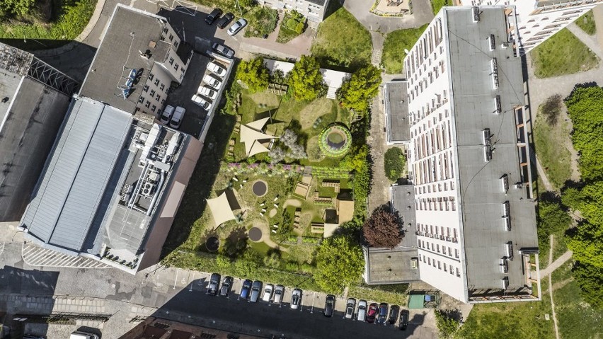 W centrum Szczecina może powstać wyjątkowy ogród. Głosujcie! [wideo]