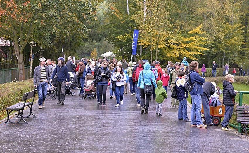 Dzień otwarty w gdańskim zoo. Tłumy ludzi przyszły zobaczyć...