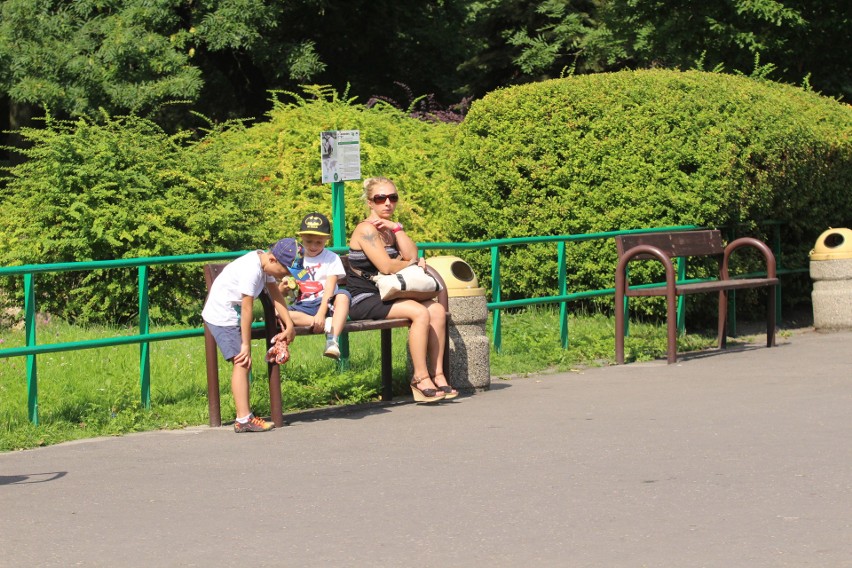 Śląski Ogród Zoologiczny ma małą samicę wielkiego kudu 