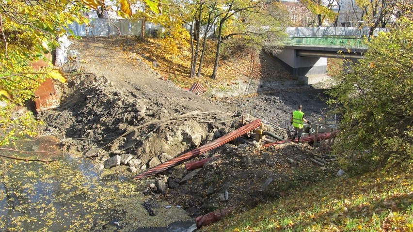 Wrocław, remont Fosy Miejskiej, trwa odłów ryb