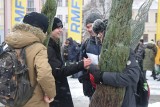 Akcja "Choinka pod Choinkę" w Radomiu. Mnóstwo osób przyszło po darmową choinkę od RMF FM. Zobacz zdjęcia