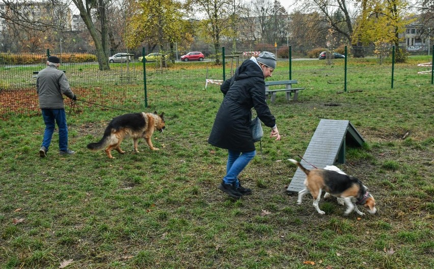 W Poznaniu jest już 28 wybiegów, trzy dalsze mają powstać w...