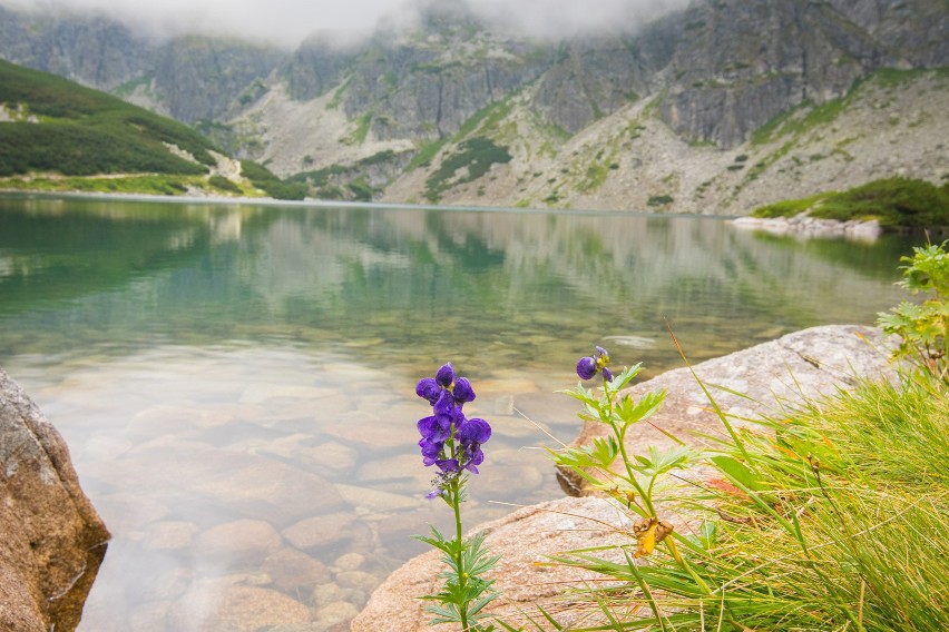 Tatry. Na Hali Gąsienicowej widać już zbliżającą się jesień. Zobaczcie jak piękna jest już teraz 