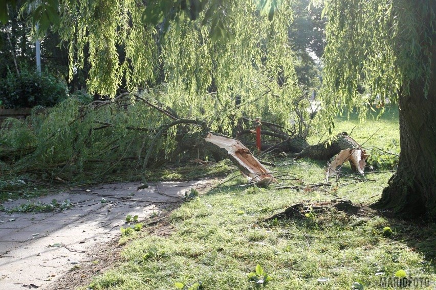 Straż pożarna od godz. 4.45 do godz 7.00 interweniowała...