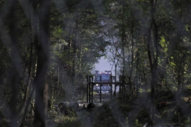 Pożar szalał w rejonie ulic Koronowskiej i Opławieckiej. Ogień objął las położony na terenie jednostki wojskowej.