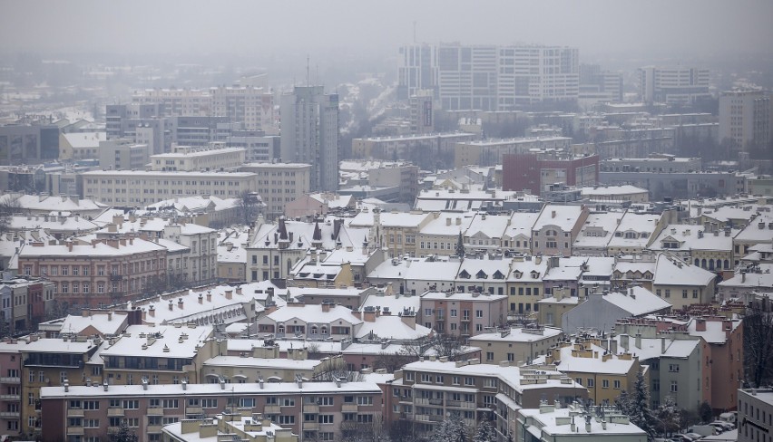 Rzeszów widziany z dachu Capital Towers