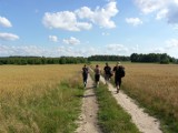 Parki krajobrazowe w Łódzkiem zwiedzaj ze smartfonem