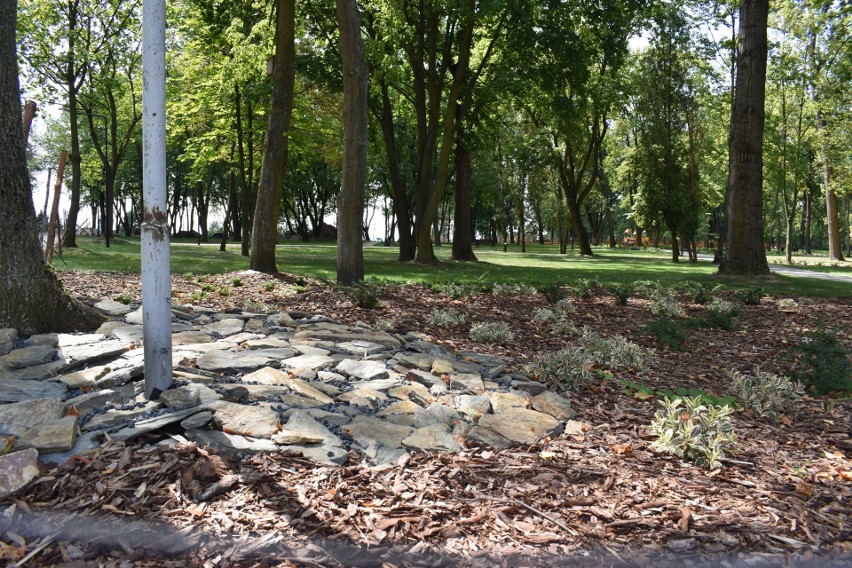 Zza siatki odnowiony Park Tysiąclecia wygląda imponująco....