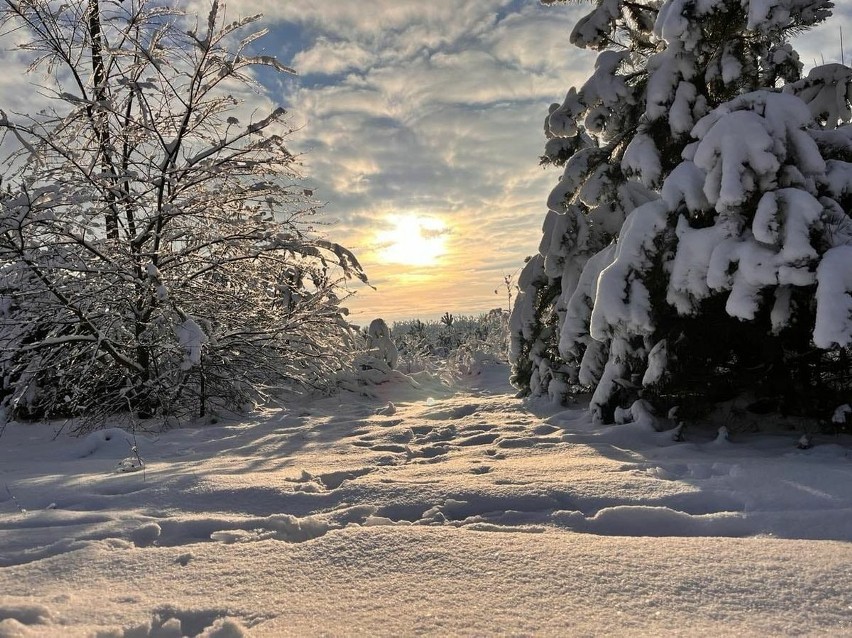Takie piękne zdjęcia zimy w Podlaskiem wykonali Internauci