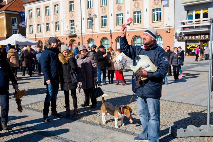 Psy ze schroniska na spacerze w centrum Białegostoku.