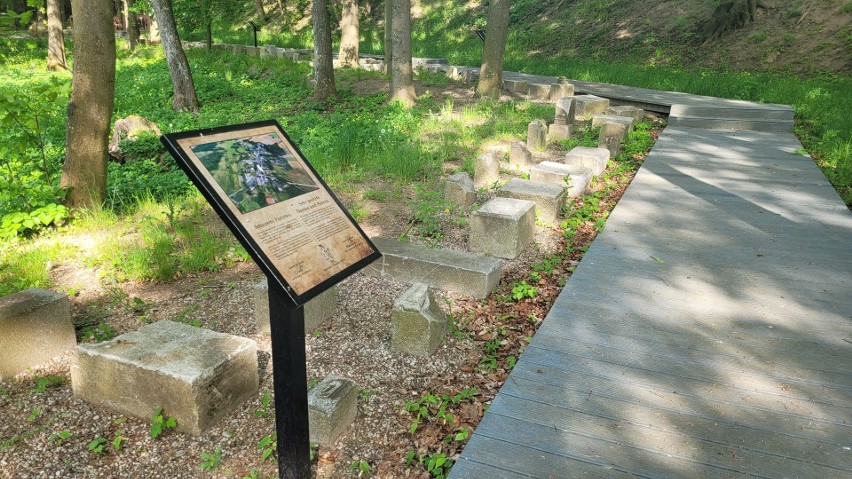 Lapidarium w Sierakowie pod Słupskiem.