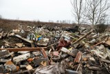 Góra śmieci z rozbiórki altanek ogródkowych wciąż zalega przy ul. Petofiego. Sprawa usunięcia odpadów utknęła w... trybach administracyjnych