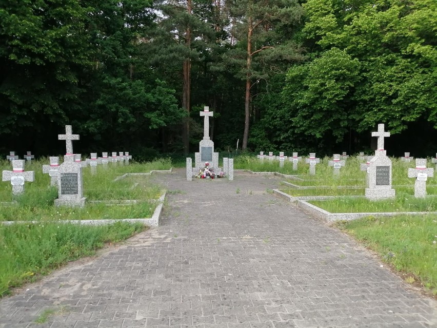Cmentarz wojskowy w Guźni