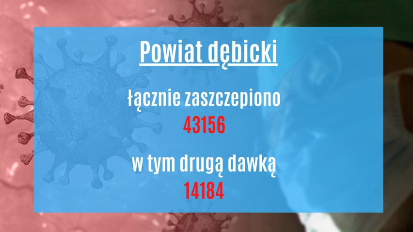 Tempo szczepień na Podkarpaciu. Sprawdź, aktualne dane Ministerstwa Zdrowia z miast i powiatów w regionie [LISTA]