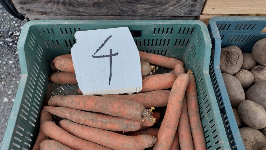 Spory ruch na opatowskim targu w środę, 13 marca. Jakie ceny warzyw i owoców? Zobacz zdjęcia