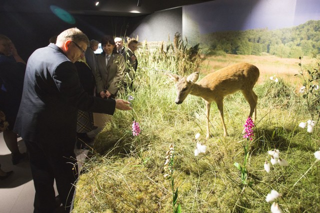 W sali wystawowej Centrum Edukacji Ekologicznej urządzono m.in. kilka dioram prezentujących typowe siedliska związane z rzeką Słupią i jej doliną