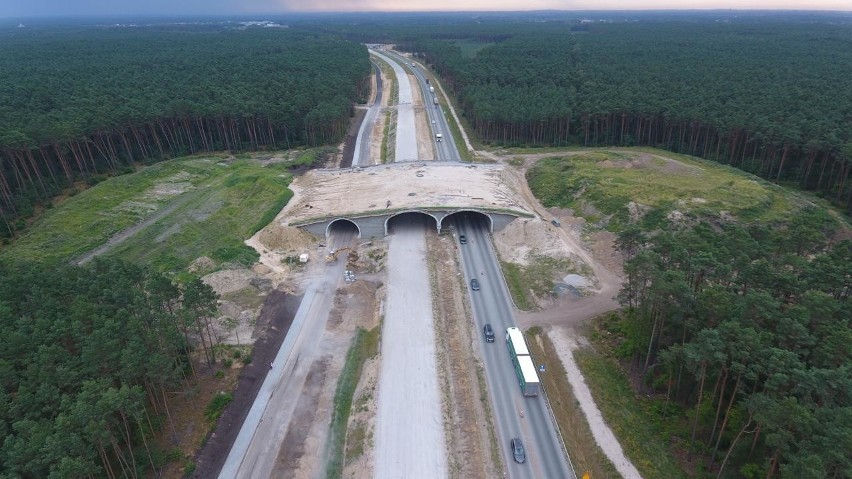 Zaglądamy na budowę trasy S5 w okolicach Bydgoszczy. Co...