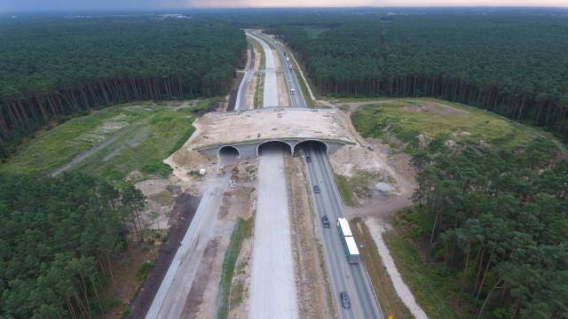 Zaglądamy na budowę trasy S5 w okolicach Bydgoszczy. Co dzieje się na odcinkach Bydgoszcz Opławiec - Bydgoszcz Błonie (Białe Błota) oraz Błonie - Szubin? Zobacz zdjęcia z drona oraz bezpośrednio z placu budowy udostępnione przez GDDKiA  (sierpień-wrzesień 2020).PRZESUŃ ZDJĘCIE gestem lub naciśnij strzałkę w prawo 