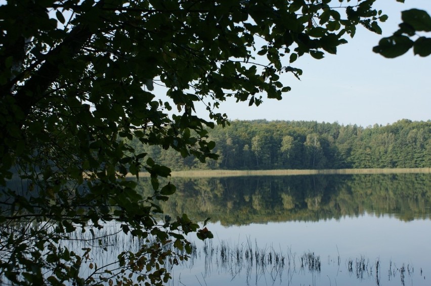 Szlakiem bytowskich jezior lobeliowych.