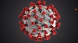 Brytyjska mutacja koronawirusa jest już na Pomorzu! Naukowcy zidentyfikowali trzy próbki