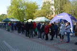 Finał jubileuszowej akcji „Drzewko za makulaturę” w Stalowej Woli. Ogromna kolejka chętnych po sadzonki. Zobacz zdjęcia