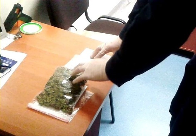 W mieszkaniu 24-latka policjanci znaleźli m. in. 52 gramy marihuany.