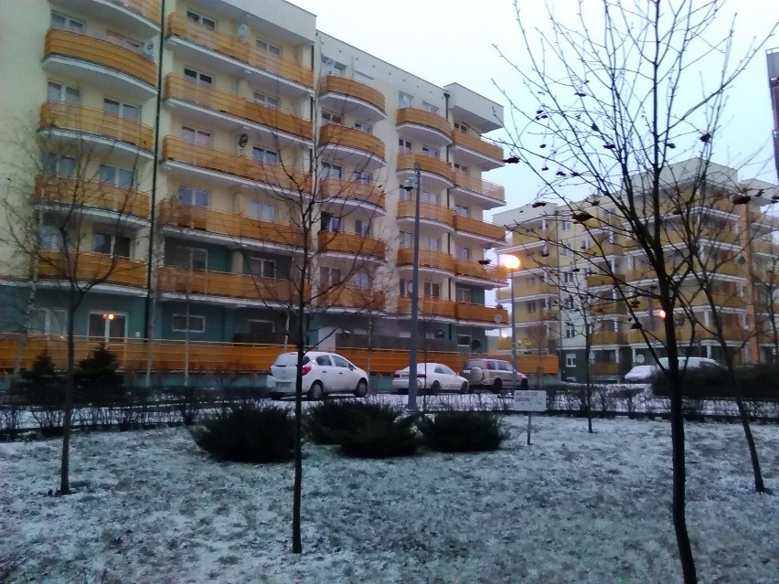 Zima w Poznaniu: Spadł śnieg. Uwaga, jest ślisko